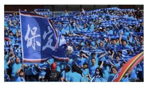 足球主任最新爆料视频,最新爆料视频深度解析  第3张